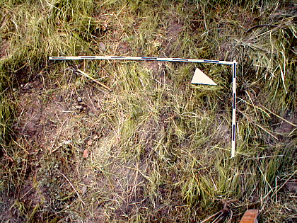 second picture of an overgrown ramp