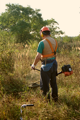 starting the work to cut the grass
