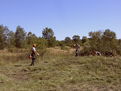 Augusto pointing out places who still needs trimming