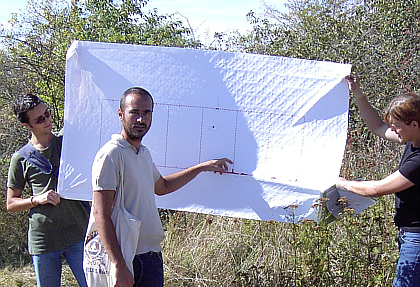 Augusto pointing first to the drawing