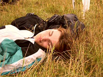 B&auml;rbel having a nap